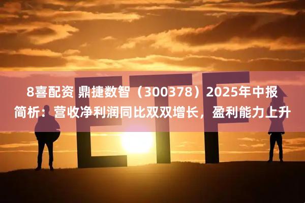 8喜配资 鼎捷数智（300378）2025年中报简析：营收净利润同比双双增长，盈利能力上升