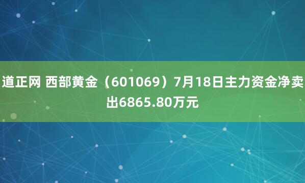 道正网 西部黄金（601069）7月18日主力资金净卖出6865.80万元