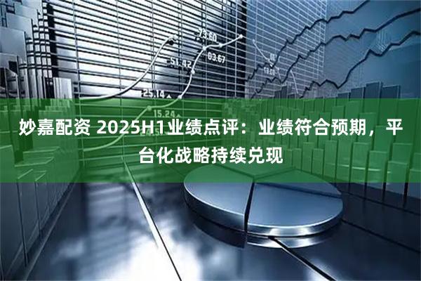 妙嘉配资 2025H1业绩点评：业绩符合预期，平台化战略持续兑现